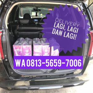 Agen Milagros Purwokerto